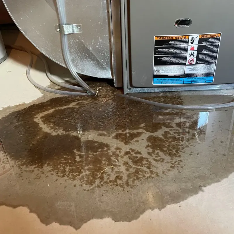 Pipe Burst and Leak Restoration in Spring City, TN