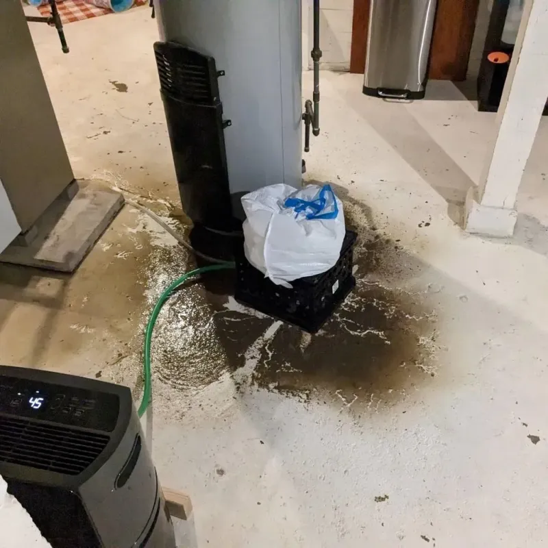 Sewage Backup Cleanup Service in Spring City, TN
